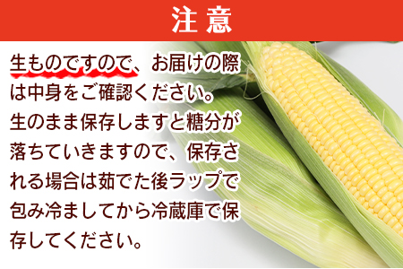 期間限定！予約受付！＜宮崎県産 スイートコーン 約4.5kg＞2025年5月下旬～6月中旬迄に順次出荷【 先行予約 穀物 野菜 甘い 季節限定 とうもろこし おやつ ご飯 スープ サラダ BBQ 】