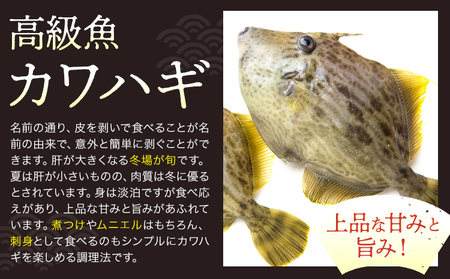 お煮つけに鍋に旨いカワハギ 高橋商店《30日以内に出荷予定(土日祝除く)》魚 カワハギ 冷凍 白身魚 煮つけ 海産物 天草 苓北 熊本 送料無料【配送不可地域あり】