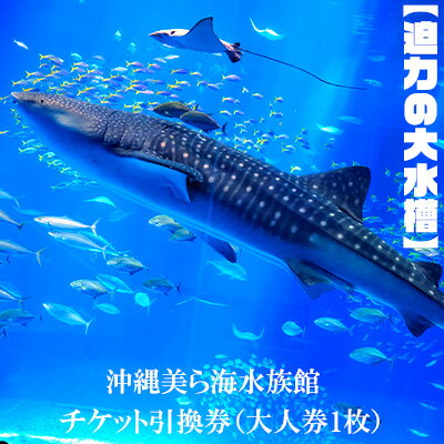 【ふるさと納税】【迫力の大水槽】沖縄美ら海水族館　チケット引換券＜大人券1枚＞ 本部町 海洋博 水族館 カップル ちゅらうみ チケット 引換券 ジンベイザメ マンタ 水槽 魚 海水 海 人気 オススメ ギフト プレゼント 贈答 贈り物 プロポーズ
