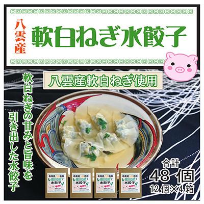ふるさと納税 八雲町 【先行予約】八雲産軟白ねぎ水餃子(12個入×4箱)