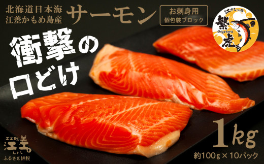 北海道産 サーモン お刺身用ブロック 1kg（約100g×10P）　日本海 かもめ島海面養殖　純国産 ブランドサーモン『江さしっ子 繁虎』　衝撃の口どけ　とろける脂　生食可　冷凍　小分け　個包装 　トラウトサーモン　刺身　サーモンステーキ　カルパッチョ　海鮮　鮭　さけ　シャケ　しゃけ　さーもん　のし対応可　贈答用　ギフト　お中元　お歳暮