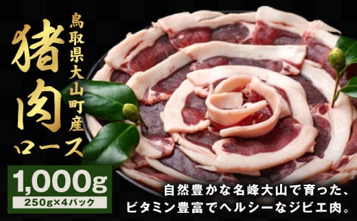 
GB-10　猪肉　ロース　1kg（250g×4パック）
