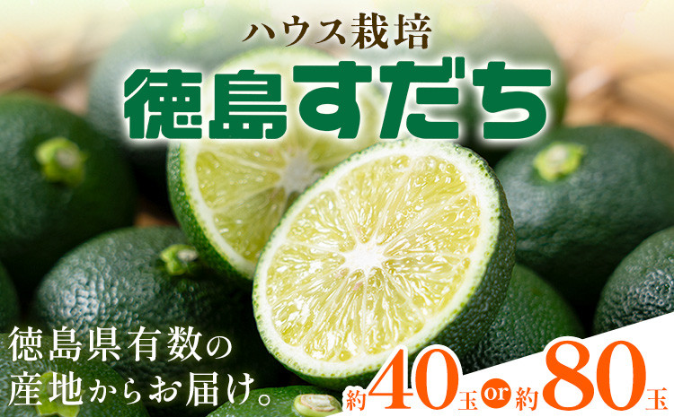 
            佐那河内名産 ハウス栽培 すだち 選べる 40玉 (1kg) 80玉 (2kg) ハウスすだち スダチ 一般財団法人さなごうち《6月中旬-9月上旬頃出荷》徳島県 佐那河内村 送料無料 スダチ ハウス 魚 豆腐 冷奴 焼き魚 天ぷら 刺身 徳島県産
          