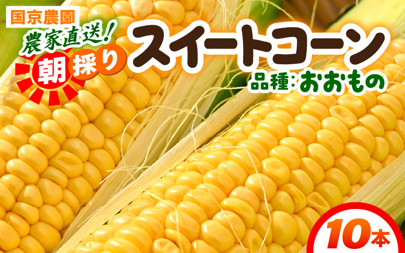 
                  【先行予約】朝採り スイートコーン 黄色 計10本 おおもの ／ ハウス栽培 低農薬 有機肥料 フルーツ並みの甘さ 甘い とうもろこし 野菜 あわら ※2025年10月上旬より順次発送 [aw067-a003]
                