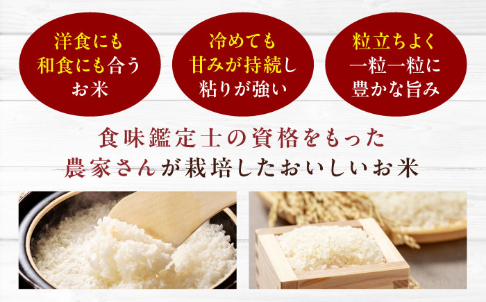 【全6回定期便】お米とシェフのカレー少量セット 米1.5kg・カレー3袋　愛媛県大洲市/有限会社ヒロファミリーフーズ カレー レストランのカレー ご当地グルメ [AGBX057]