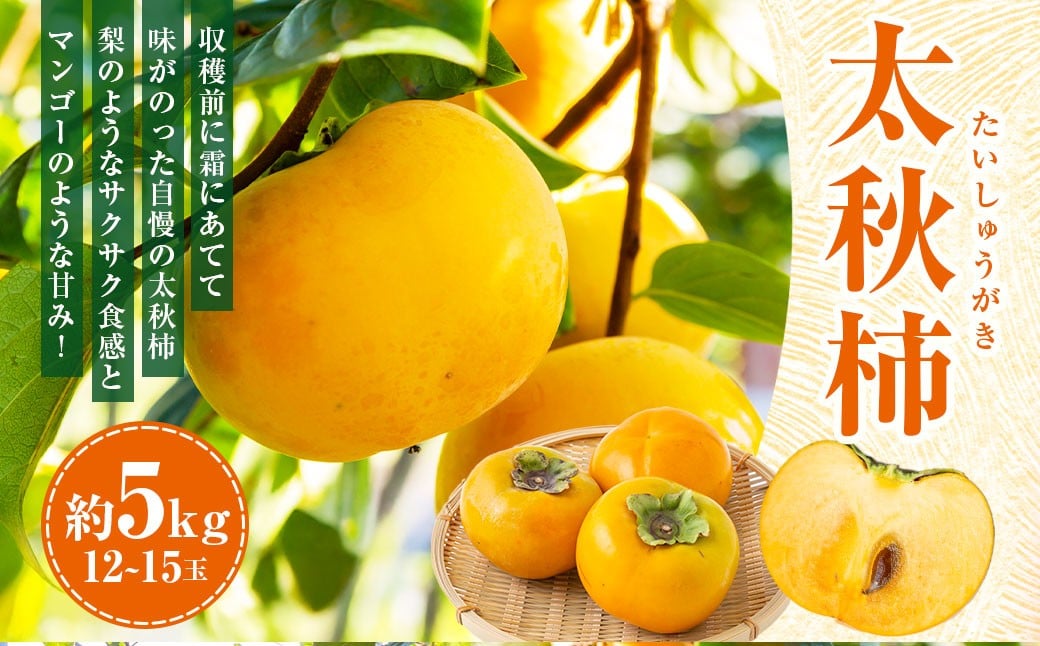 
            【先行予約】伊藤園 太秋柿 12玉から15玉 約5kg 【2026年10月下旬から出荷予定】 ／ 富有柿 柿 果物 フルーツ くだもの うきは市
          