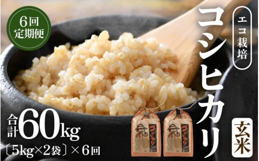 【先行予約】【令和8年産 新米】【一等米】《定期便6回》エコ栽培コシヒカリ 玄米10kg（5kg×2袋）計60kg ／ 鮮度抜群 福井県産 こしひかり ご飯 新鮮 玄米 ※2026年10月上旬以降順次発送 [aw063-j007]