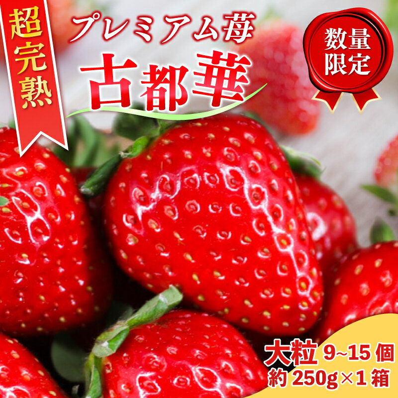 【ふるさと納税】 いちご 大粒 9~12個 L~2Lサイズ 約250g 奈良 ことか 2026年1月以降発送 1箱 冷蔵 先行予約 数量限定 古都華 イチゴ 苺 人気 おすすめ フルーツ 果物 ストロベリー スイーツ デザート 産地直送 旬 新鮮 ギフト 贈答 お歳暮 プレゼント 奈良県 奈良市 6FARM