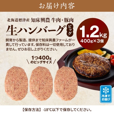 生ハンバーグ 400g×3個セット 冷凍でお届け 国産 牛肉 豚肉 ギフトにもおすすめ【配送不可地域：離島】【1700040】