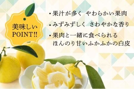 初春の旬「日向夏」種が少ない ２.５kg