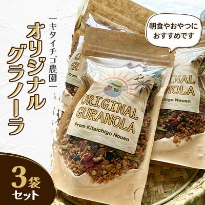 ふるさと納税 江別市 【北海道江別市】キタイチゴ農園　オリジナルグラノーラ3袋セット
