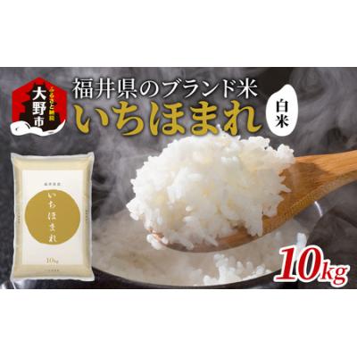ふるさと納税 大野市 【令和7年産】福井県産 いちほまれ(白米)10kg
