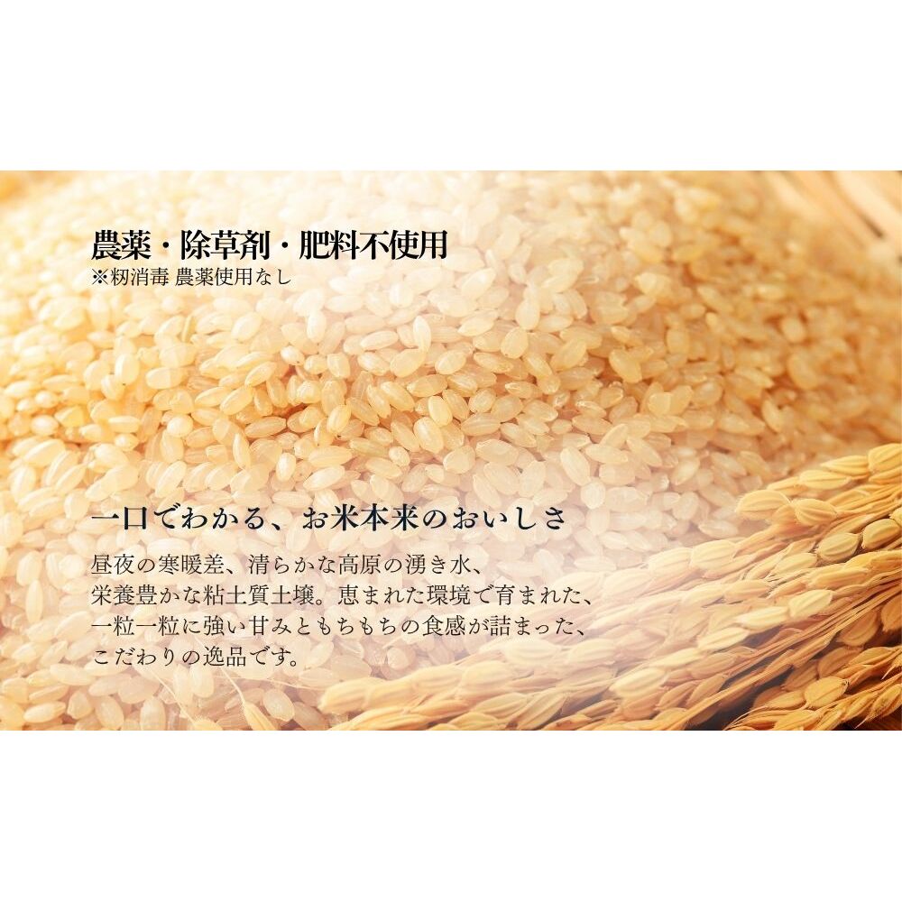 【令和8年産】自然栽培米 5kg｜選べる 玄米・分づき・白米｜単発／ 無農薬 米 お米 一等米 こめ コメ 国産 新米 玄米 農家やまおか 除草剤 肥料不使用 奈良県 宇陀市 ふるさと納税_イメージ3