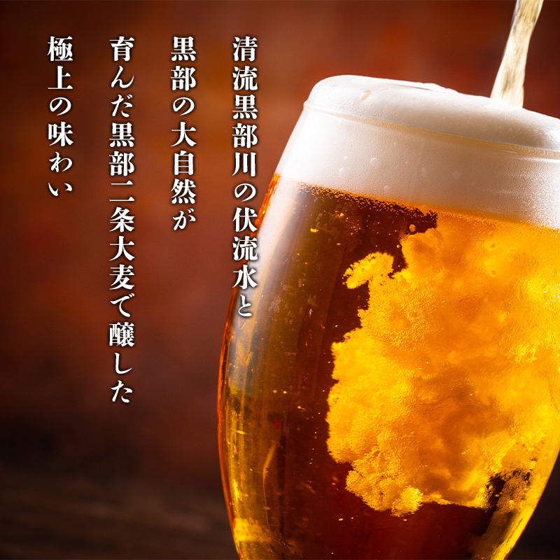 ビール ふるさと定期便 宇奈月ビール12缶セット×6回（6か月連続発送）/地ビール クラフトビール 北陸 缶/富山県黒部市 飲み比べ お酒 酒 