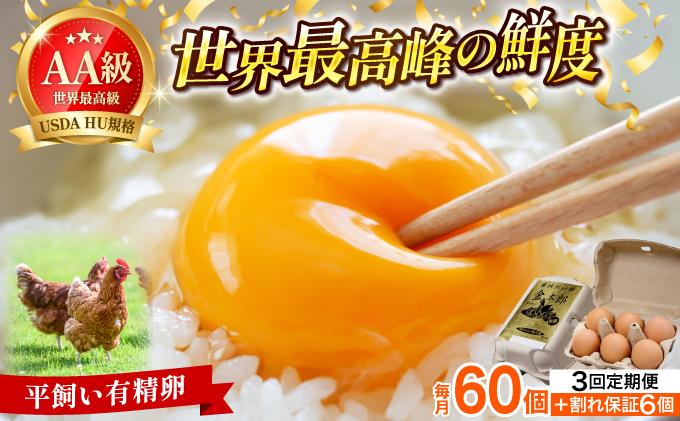 ＜定期便・全3回＞鮮度AA級の世界最高ランク！金太郎卵 平飼い たまご 60個（6個×10パック） 60個/定期便・全3回