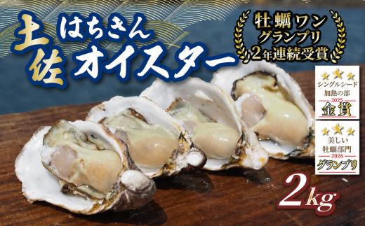 土佐はちきんオイスター 2kg 千代丸水産