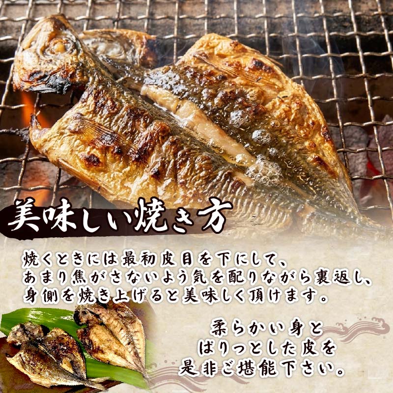 【ほうえい】真あじセットB（干物20枚入り）