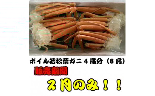 【魚倉】ボイル若松葉ガニ 4尾分8肩（足１～２本なし含む） 松葉ガニ カニ ズワイガニ ボイル 冷蔵 カニ爪 かにしゃぶ カニ刺身 ずわいがに 鮮度抜群 国産 高級 足欠け 足かけ 鳥取県 倉吉市