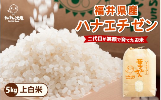 【令和8年産・新米】 ハナエチゼン 5kg 華越前  ～坂井市三国町産・こだわりの精米対応～（上白米） [A-0277_01]
