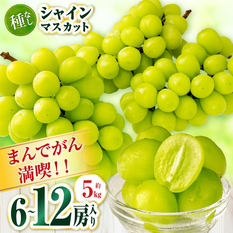 【ふるさと納税】まんでがん満喫!!　シャインマスカット　約5kg | シャインマスカット マスカット ぶどう ブドウ 葡萄 果物 フルーツ 新鮮 くだもの 国産 ギフト旬 人気 種なし 皮ごと食べられる ジューシー 糖度が高い 季節限定 おすすめ 旬の果物 香川 香川県 三木町
