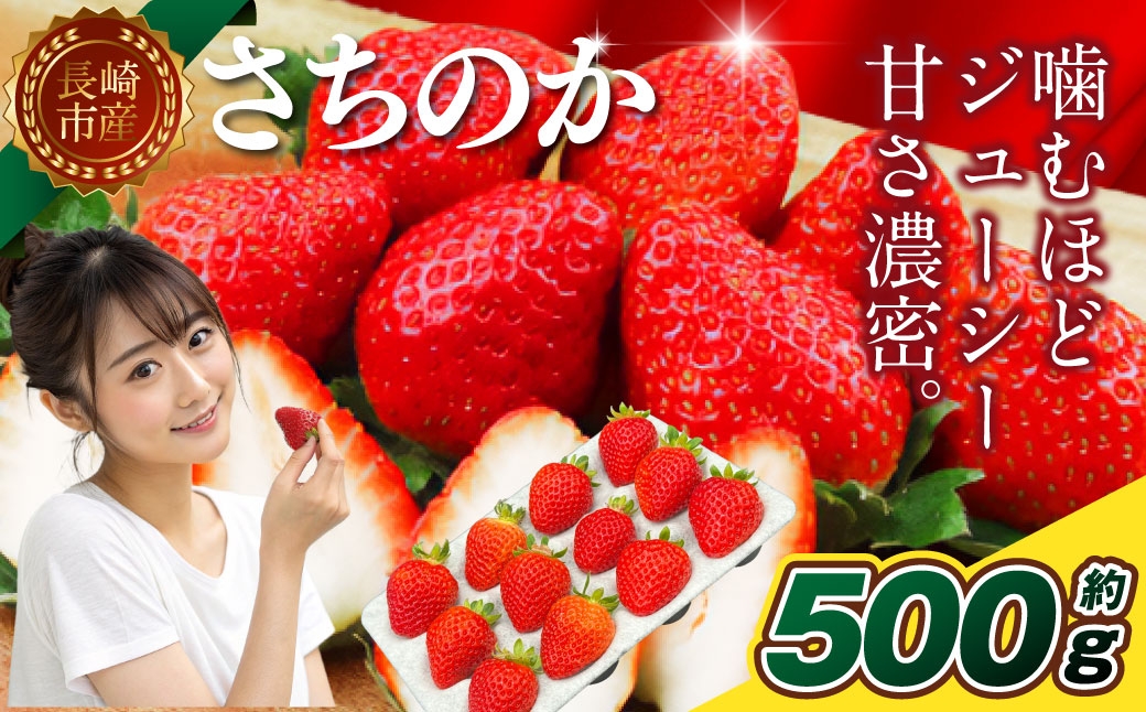 
                  いちご 「 さちのか 」 約500g（500g×1箱） 【2027年1月上旬～3月上旬出荷予定】 果物 くだもの 果実 苺 イチゴ フルーツ 果肉 国産 長崎県産 ジューシー 甘み コク 爽やか ビタミンC 酸味
                