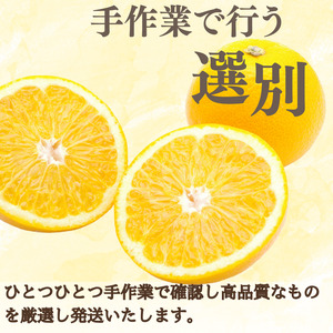 八朔 柑橘 和歌山県 手選別 / 新鮮！はじける食感！「きみのハッサク」約4.5kg(14~17個程度) サイズ L~2L ご家庭用(秀優混合)【kmf002】