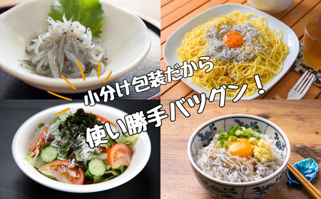 シラス 厳選 小分け 冷凍便 / 冷凍釜揚げしらす700g（100g×7パック）【dig002A】