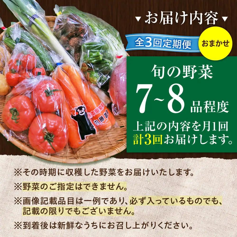 全3回定期便 旬の 野菜 セット 約3kg/ 野菜 7-8品程度 BHAK024