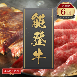 肉【定期便全6回】【和牛セレブ】能登牛 定期便「ファーストクラス」特選 しゃぶしゃぶ すき焼き 焼肉 ステーキ ギフト 石川県 能美市