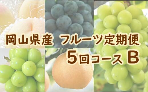 【ふるさと納税】岡山県産 フルーツ定期便 5回コースB（山博）