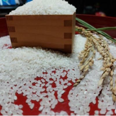 ふるさと納税 阿波市 1等米、食味値80点以上の【阿波ノ北方米コシヒカリ3kg】 |  | 03