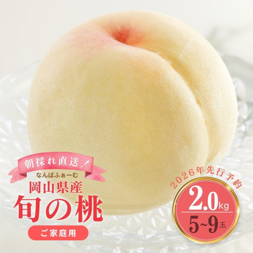 【2026年先行予約】［なんばふぁーむ］岡山県産 旬の桃 2.0kg（5～9玉）［ご家庭用］｜桃 もも モモ フルーツ 果物 ピーチ 完熟 朝採れ 朝採り 新鮮 旬 食べごろ 食べ頃 岡山産 産地直送 産直 特産 特産品 送料無料  岡山県 鏡野町