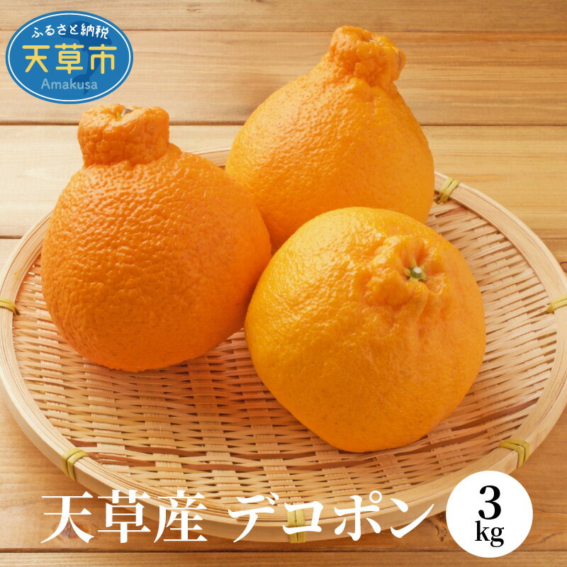 【ふるさと納税】先行予約 デコポン 天草産 3kg JA 本渡五和 みかん選果場 旬 国産 ジューシー 甘い 味わい 高糖度 多果汁 みかん フルーツ 果物 デザート 柑橘 柑橘類 常温 食べ物 九州 熊本県産 九州産 お取り寄せ お取り寄せフルーツ 熊本県 天草市 送料無料