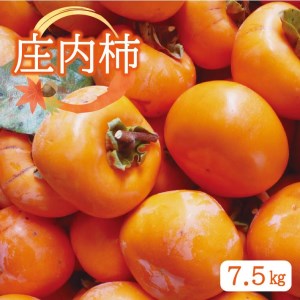 SA2920　庄内柿　約7.5kg