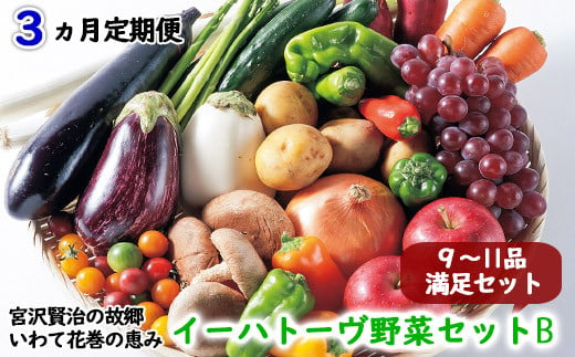 【定期便3ヶ月コース】 イーハトーヴ野菜B  満足セット 9～11品  詰め合わせ 【1204】