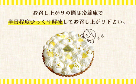 【2024年6月〜発送】【舌にあふれる季節感♪こだわりのサクサクタルト】レモンムースのタルト / タルト ケーキ レモン スイーツ 南島原市 /  アトリエジジ[SAA015]