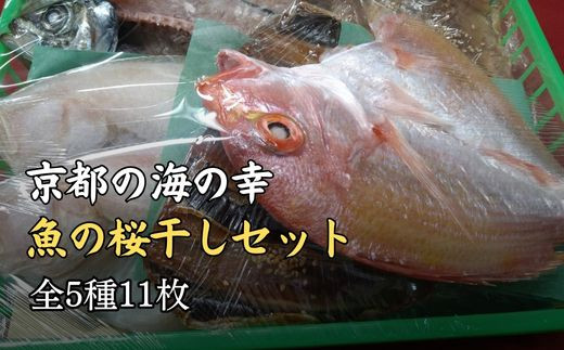 干物 ギフト (全5種 11枚) 贈答用 A[ 一夜干し 桜干し ] 魚 魚介 鰯 鯵 鰈 キダイ レンコダイ 冷凍 贈答 プレゼント 化粧箱 京都 京都府 宮津産  海の京都 詰め合わせ 詰合せ お