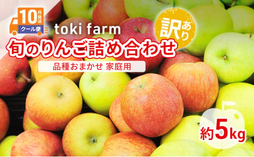 【10月クール便発送】toki farm 旬のりんご詰め合わせ 家庭用 約5kg 品種おまかせ 訳あり【弘前市産・青森りんご】