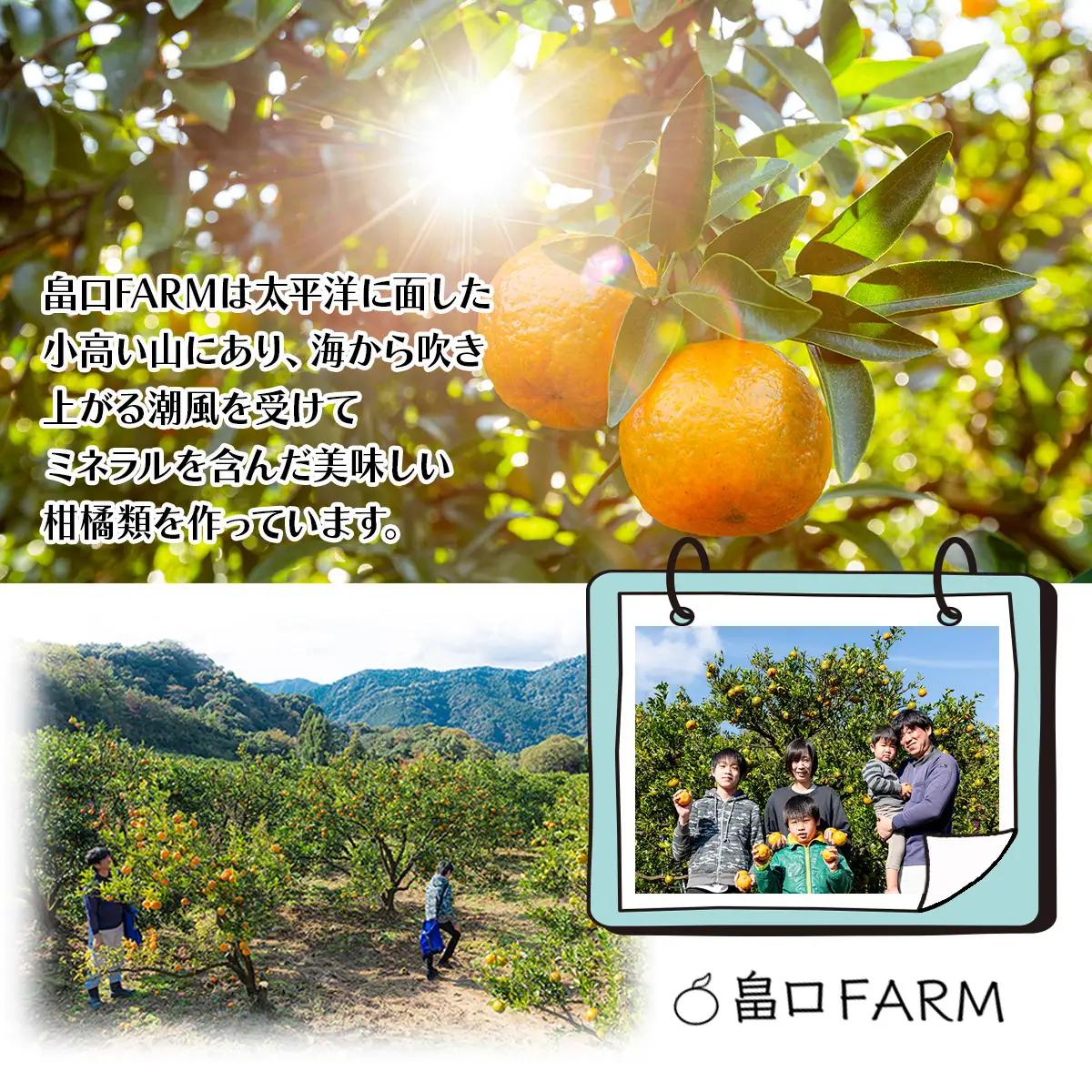【先行予約】訳ありポンカン ＜5kg＞ Lサイズ