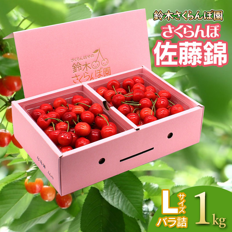 【令和8年産先行予約】 さくらんぼ 佐藤錦 バラ詰め Lサイズ 1kg　山形県鶴岡産　鈴木さくらんぼ園