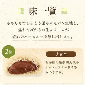 【定期便全6回】＜究極のふわとろ食感＞清水屋 生 クリームパン  12個 3種（カスタード・生クリーム・チョコ） | クリームパン