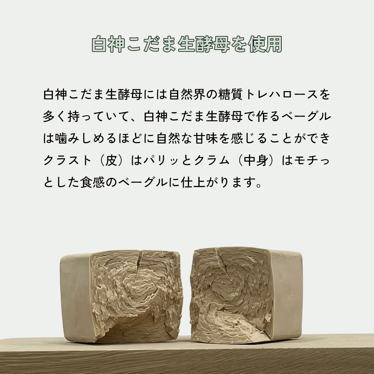 おまかせベーグル10個セット 詰め合わせ もちもち 国産小麦 こだわり食材 パン 冷凍 朝食 ベーグル 行列 人気店 MORE BAGEL 佐賀市:B150-054_イメージ4