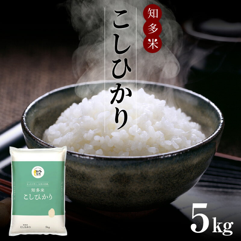 【ふるさと納税】知多米 こしひかり 1袋【 5kg 】 白米 秋 旬 農協 ブランド米 米 ライス 国産 コシヒカリ お米 ご飯 美味しいお米 うるち精米 常滑市 送料無料