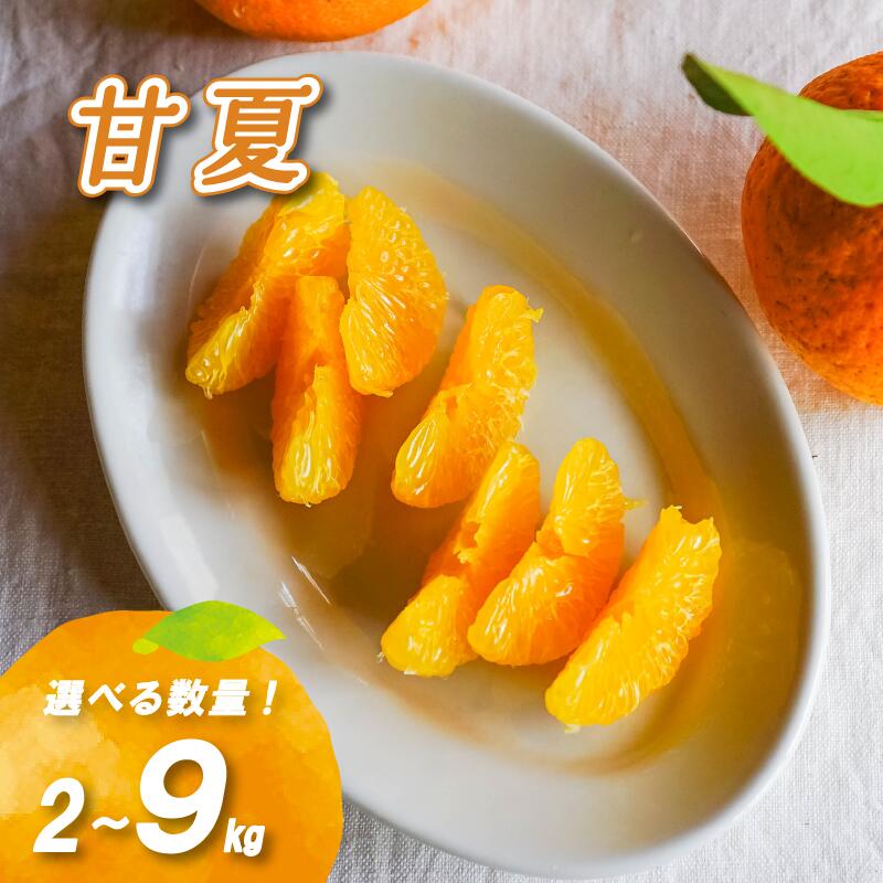 【ふるさと納税】 【2026年2月下旬より発送】農薬不使用 甘夏 2kg / 4kg / 9kg ( 数量選択可 国産 愛媛みかん 愛媛蜜柑 愛媛ミカン みかん ミカン mikan 蜜柑 柑橘 フルーツ 果物 くだもの お取り寄せ 産地直送 数量限定 人気 おすすめ 愛媛県 松山市 送料無料 )