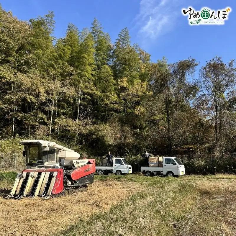 三重県産　伊賀お得米　30kg　玄米 / お米 ごはん ご飯 米 おにぎり ライス 健康志向 食物繊維【ymtb0002】