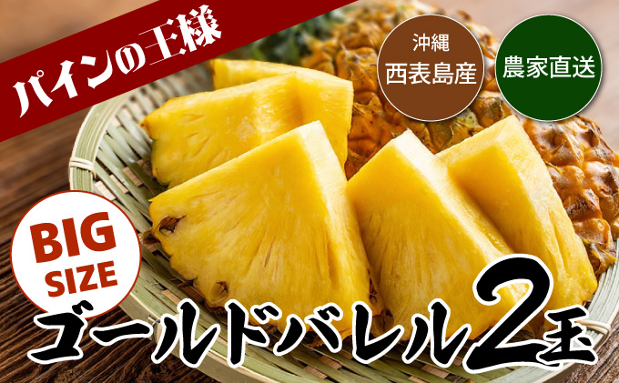 【2026年発送】ゴールドバレルビッグな２玉セット