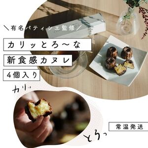 焼き菓子 カヌレ セトレ プレーン 4個入り 常温 焼き菓子