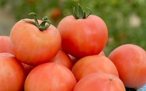 【糖度10度以上！】プレミアム麗月１kg ※沖縄・離島配送不可 / とまと 野菜 トマト【delf042】 