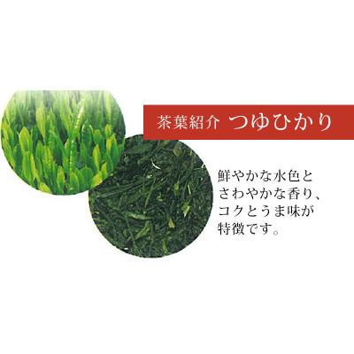 ふるさと納税 掛川市 深蒸し煎茶 天葉プレミアム 3缶セット |  | 02