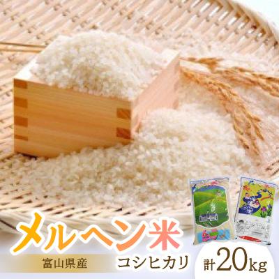ふるさと納税 小矢部市 富山県産メルヘン米コシヒカリ20kg(精米/10kg×2袋)